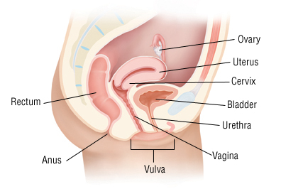 Can bacteria vaginosis have an effect on sperm and conception Free amateur porno thumbs