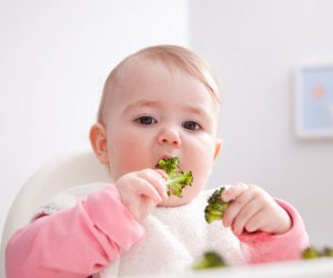 Finger Food For Teething Babies Finger Food For Teething Babies