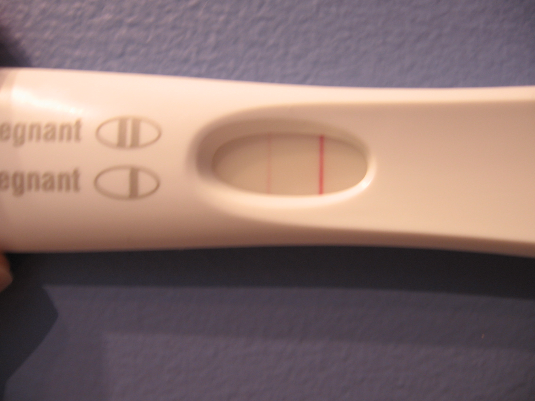 8 Facts About Pregnancy Tests Every Woman Should Know ...