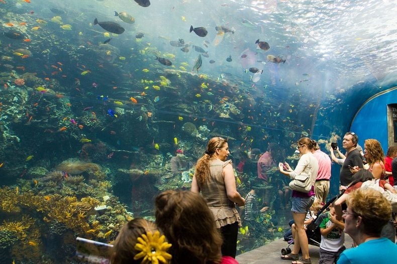 10 Best Aquariums In The Us New Kids Center With More Than Nine Million Gallons Of Water Throughout The Complex This Is Largest Aquarium In World By Sheer Volume It Opened 2005 Which