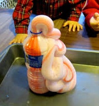 8 Easy and Cool Science Fair Projects - New Kids Center