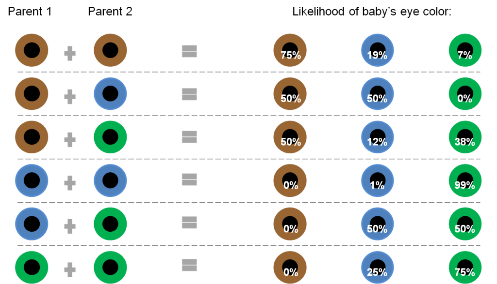 Image result for baby eye colour parents