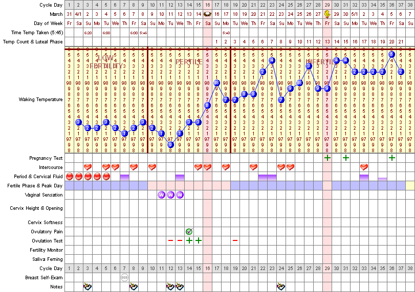 Basal Metabolic Temperature Chart