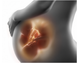 32 Weeks Pregnant with Twins: Things to Expect - New Kids
