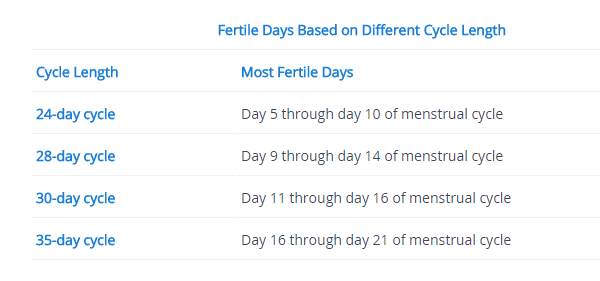 having sex during menstrual cycle